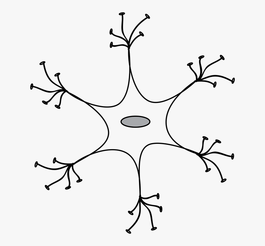 Neuronas Blanco Y Negro, HD Png Download