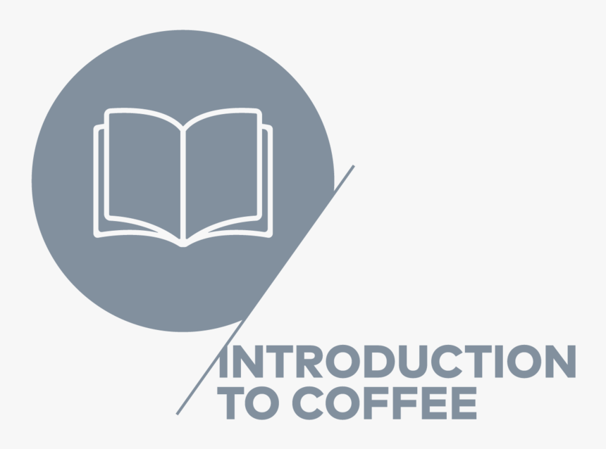 Csp Icons V2 Artwork Introduction Grey, HD Png Download