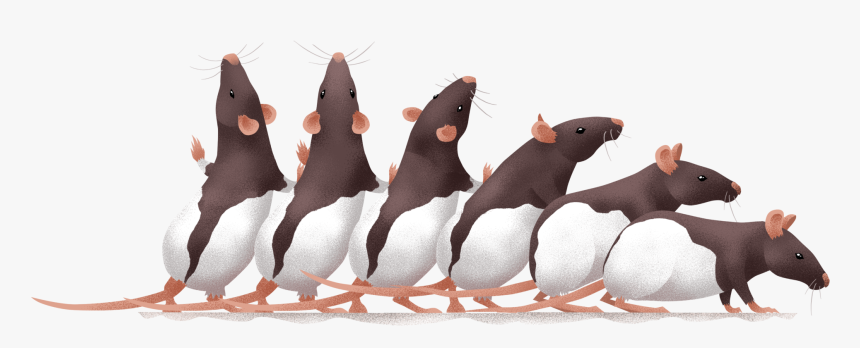 Beckmanuci - Pest, HD Png Download