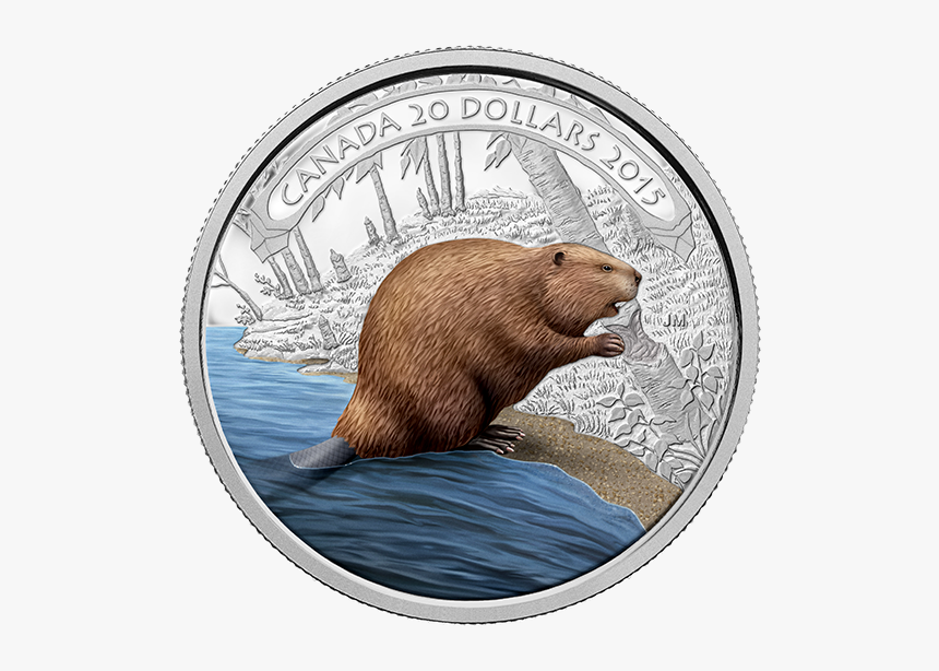 Beaver Of Canada, HD Png Download