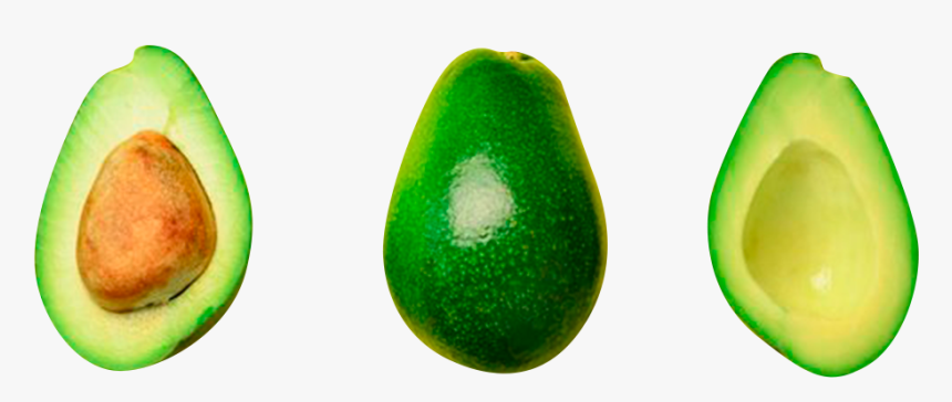 Avocado, HD Png Download