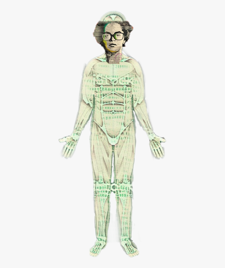 #hulk #dilma #cash #dinheiro #verde - Illustration, HD Png Download