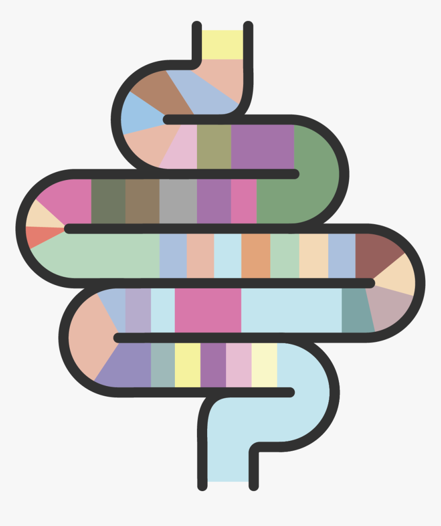 Gut Standard Intestines With Dna, HD Png Download