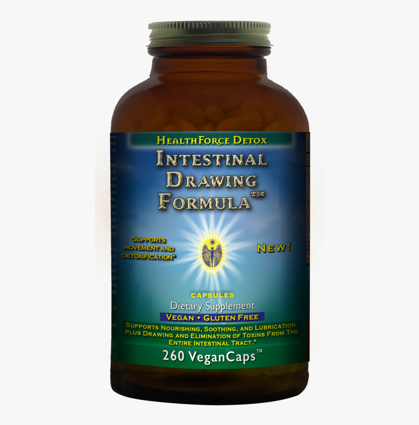 Intestines Png, Transparent Png