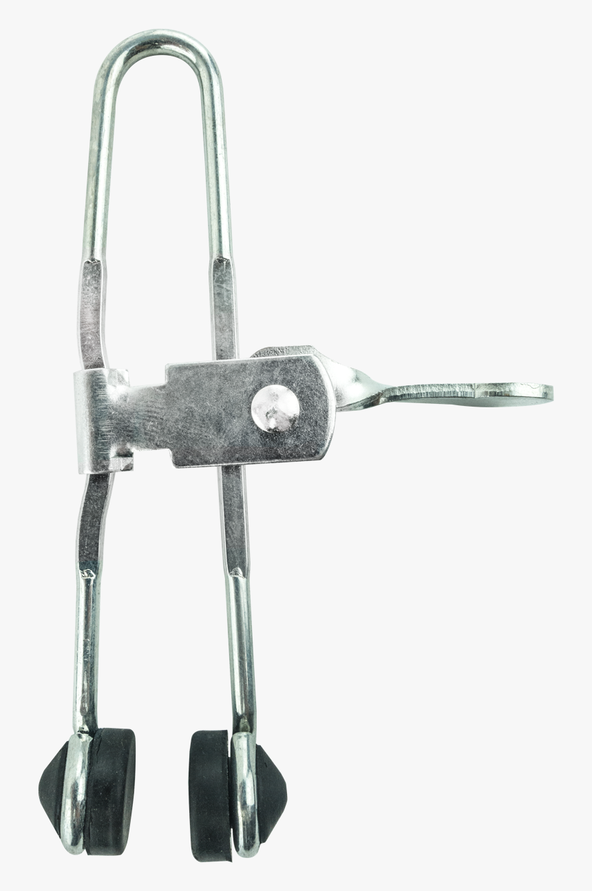 Bridle, HD Png Download