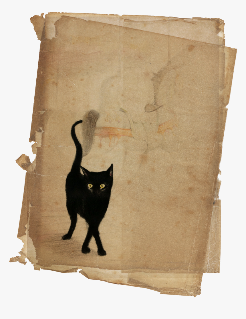Black Cat , Png Download - Diary, Transparent Png