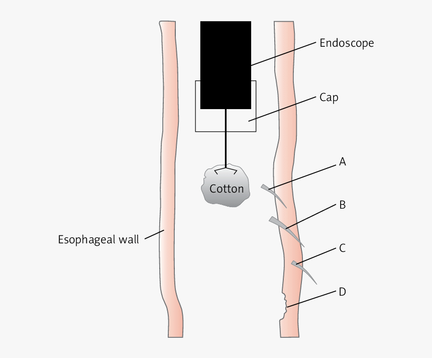 Diagram, HD Png Download