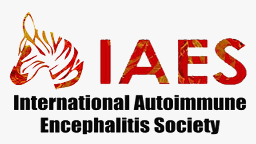 Orange, HD Png Download