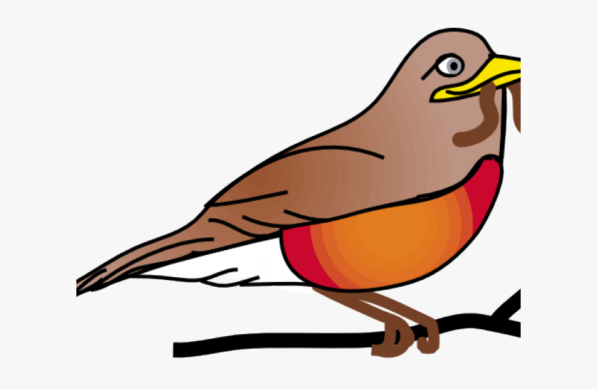 Transparent Trinidad Flag Png - Robins Birds Transparent Background, Png Download