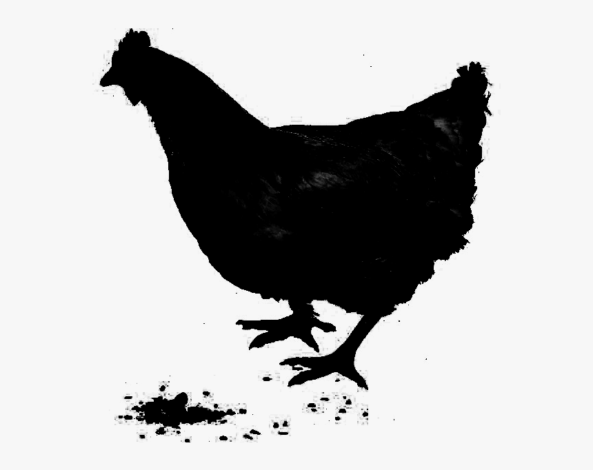 Rooster Chicken As Food Fauna Silhouette - Chicken, HD Png Download