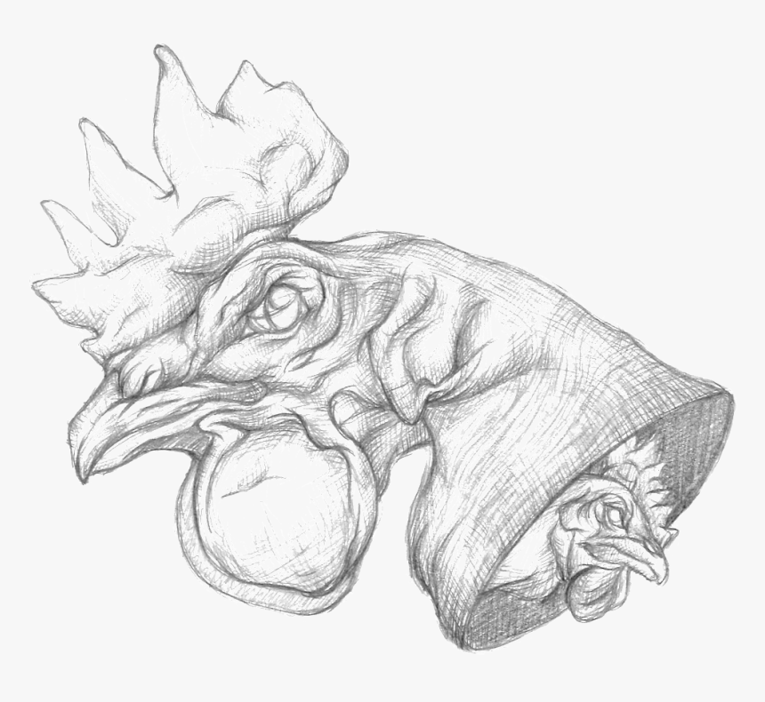Chicken Head Bw - Sketch, HD Png Download