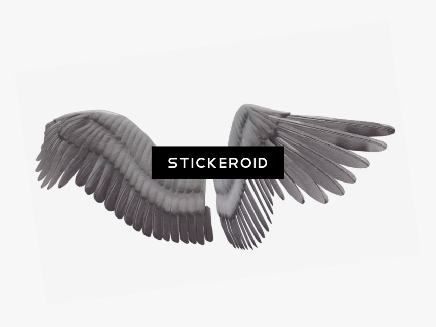 White Angel Wings - 3d Png Angel Wings, Transparent Png
