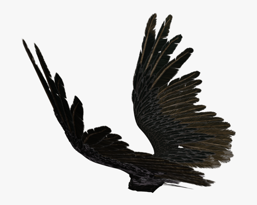 Drawn Angel Torn Wing Source - Black Wings Png Side, Transparent Png
