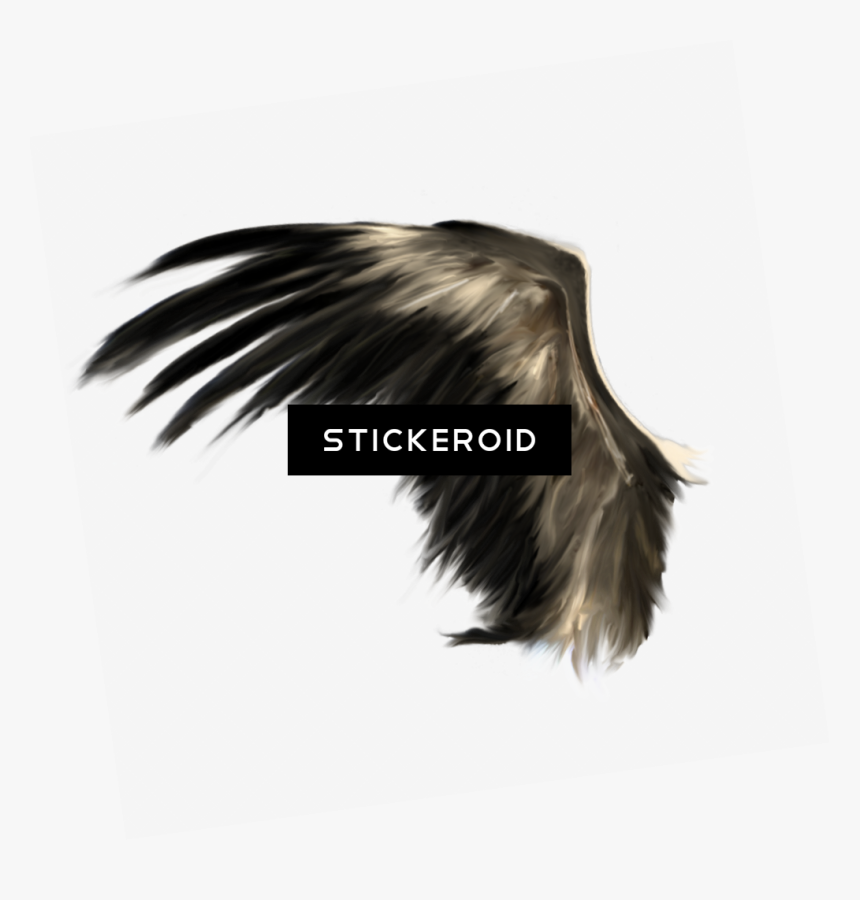 White Angel Wings - Realistic Black Wings Png, Transparent Png