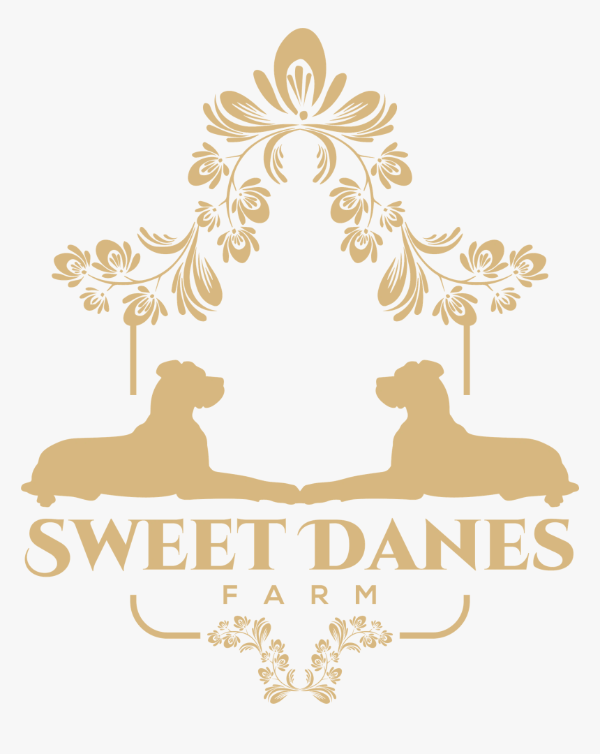 Image1 - Illustration, HD Png Download