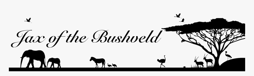 Santa Barbara Zoo , Png Download - Santa Barbara Zoo, Transparent Png