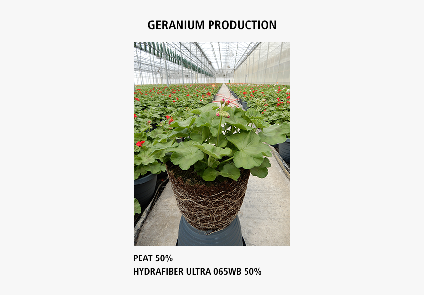 Peat Mix Vs - Flowerpot, HD Png Download