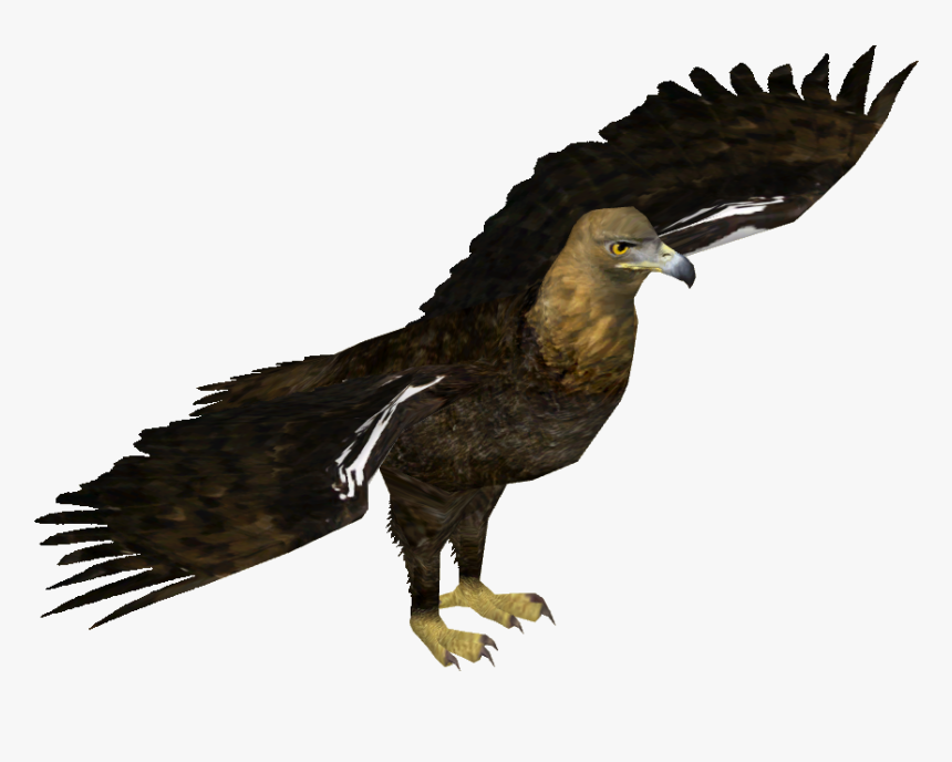 Transparent Imperial Eagle Png - Eastern Imperial Eagle Png, Png Download