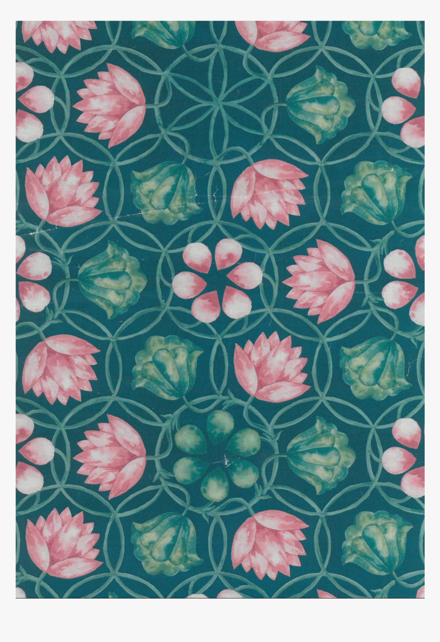 Tulip, HD Png Download