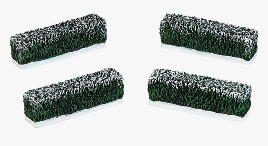 Hedge, HD Png Download