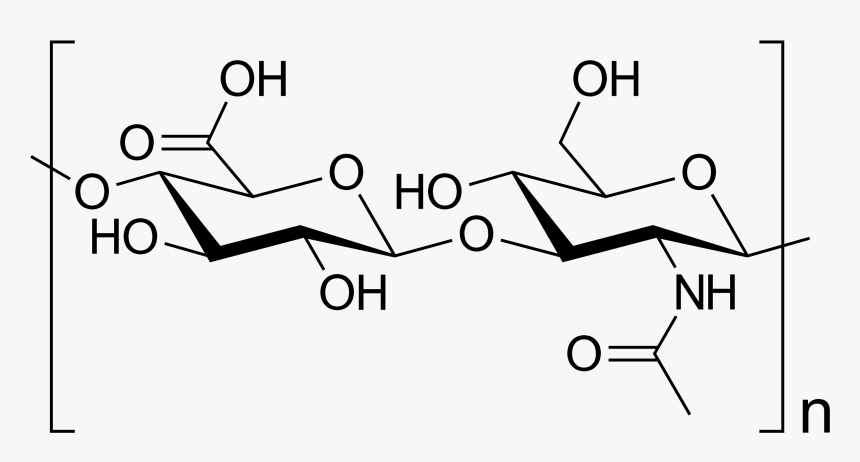 Hyaluronic Acid Structure, HD Png Download