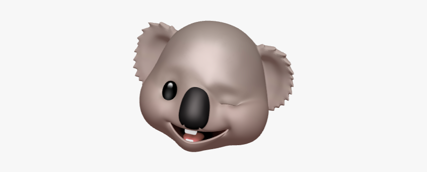 Koala, HD Png Download