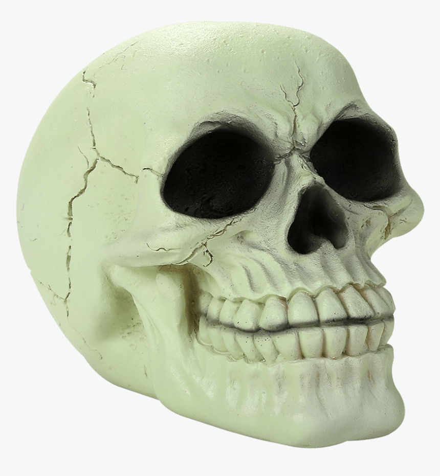 Glow In The Dark Skull, HD Png Download