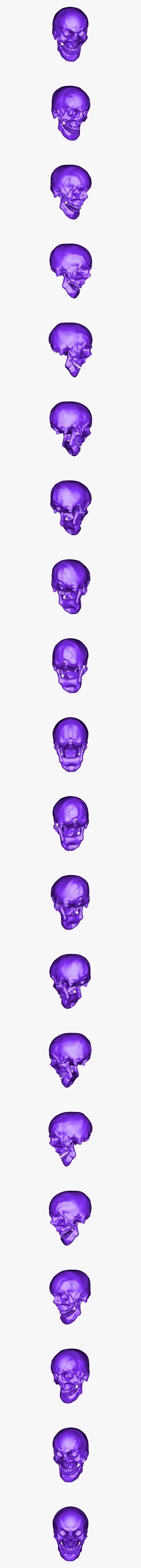 Skull, HD Png Download