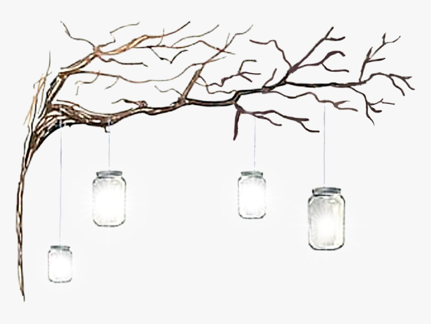 #masonjars #hanging #lights #jars #lanterns #tree #glowing - Wine Glass, HD Png Download