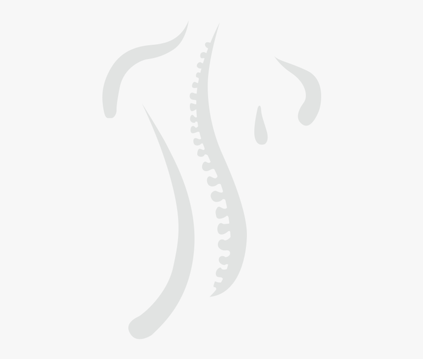 Spine Graphic - Chiropractic Spine Logo, HD Png Download