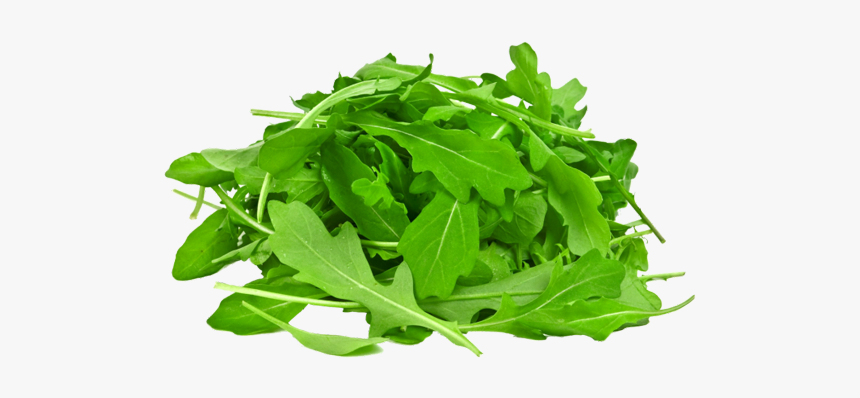 Arugula With White Background, HD Png Download