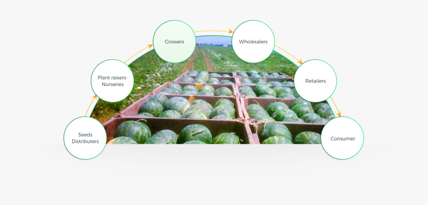 Growers - Plantation, HD Png Download