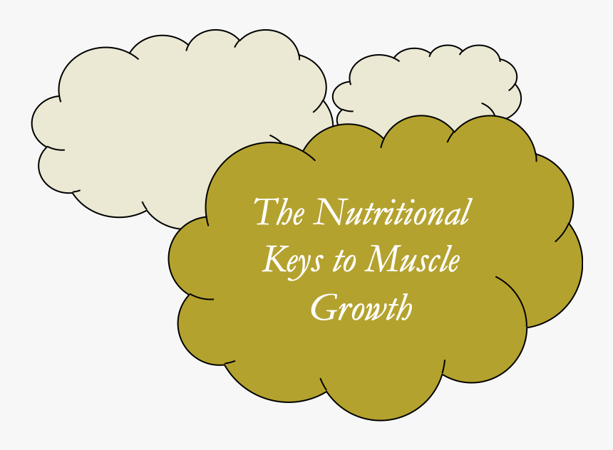 Clip Art, HD Png Download