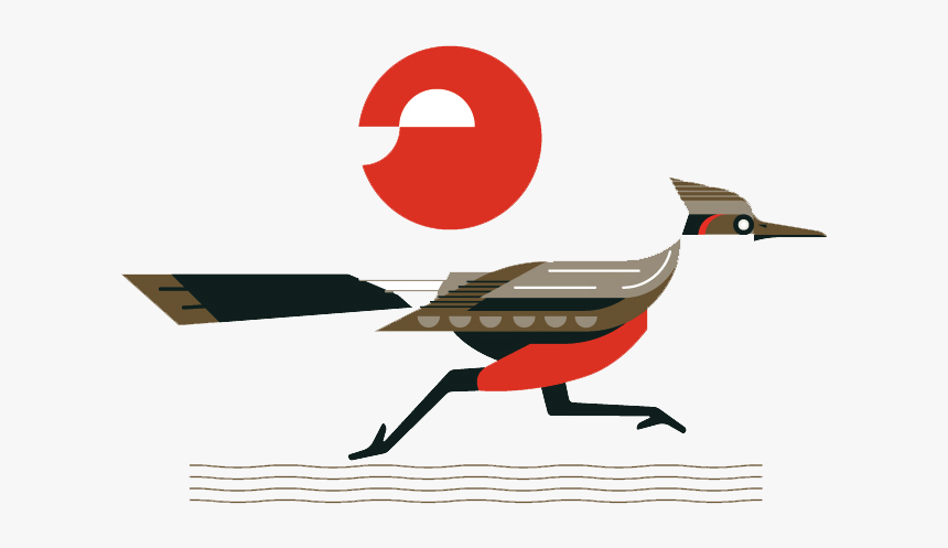 Roadrunner Clipart Bird - Road Runner Bird Illustration, HD Png Download