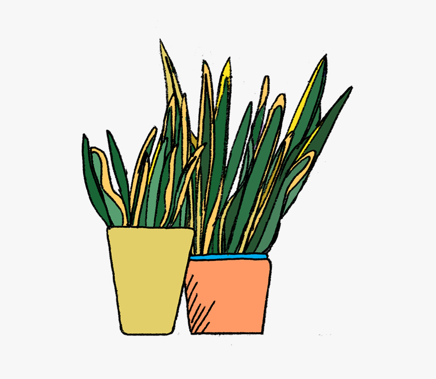 To Care For This Air Purify-er, Don T Water It Too, HD Png Download