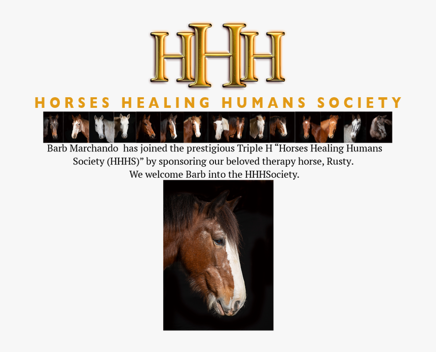 Picture - Mustang Horse, HD Png Download