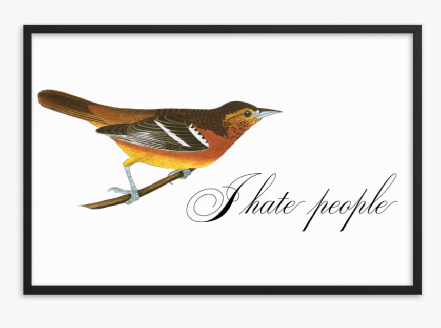 I Hate People Framed 
 Srcset Data - Effin Birds I Hate People, HD Png Download
