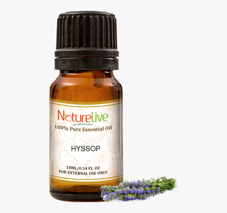 Hyssop Essential Oil 10ml - Essential Oil, HD Png Download