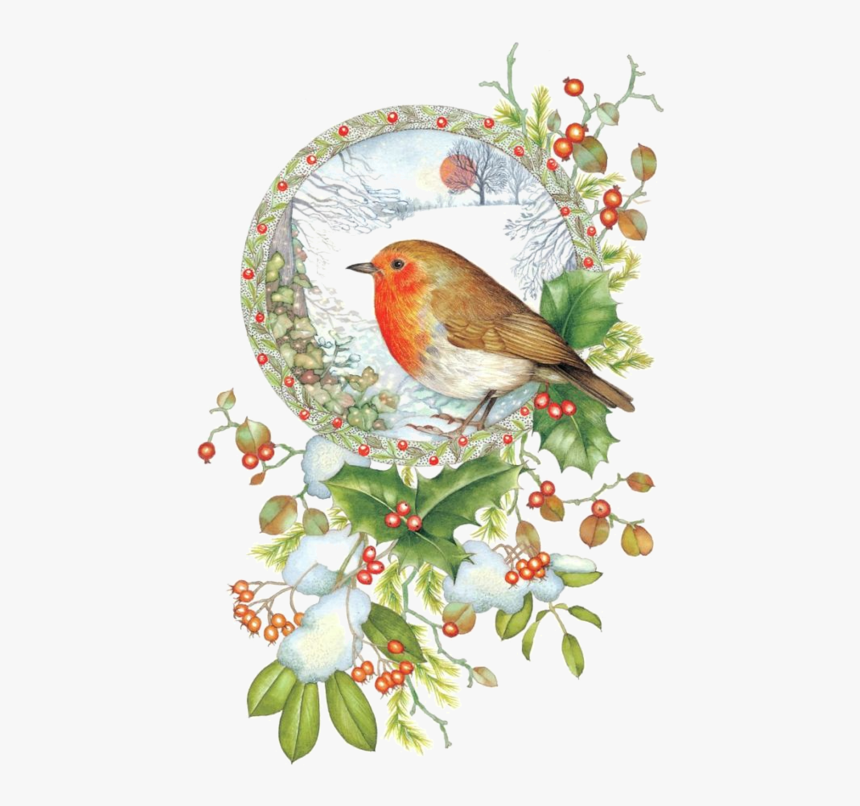 Oiseaux Birds Scrapbook Digital - European Robin Christmas Card, HD Png Download