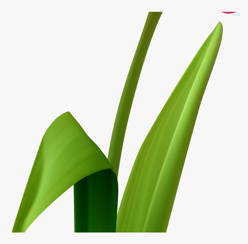 Grass Clipart , Png Download - Cartoon Tulip Flower Png, Transparent Png