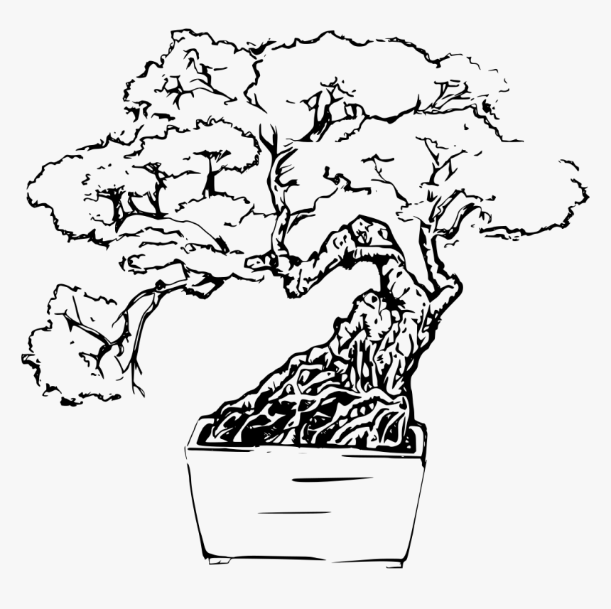 Bonsai Tree Line Art, HD Png Download