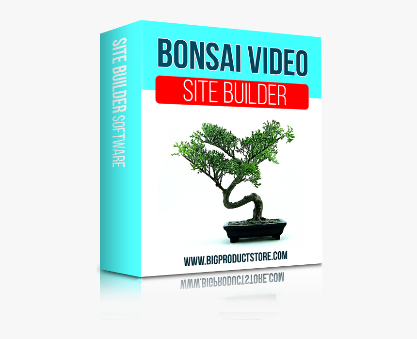 Schefflera Bonsai, HD Png Download