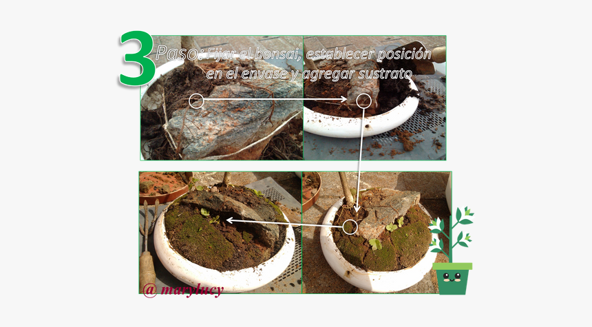 Imagen6 - Electric Eel, HD Png Download