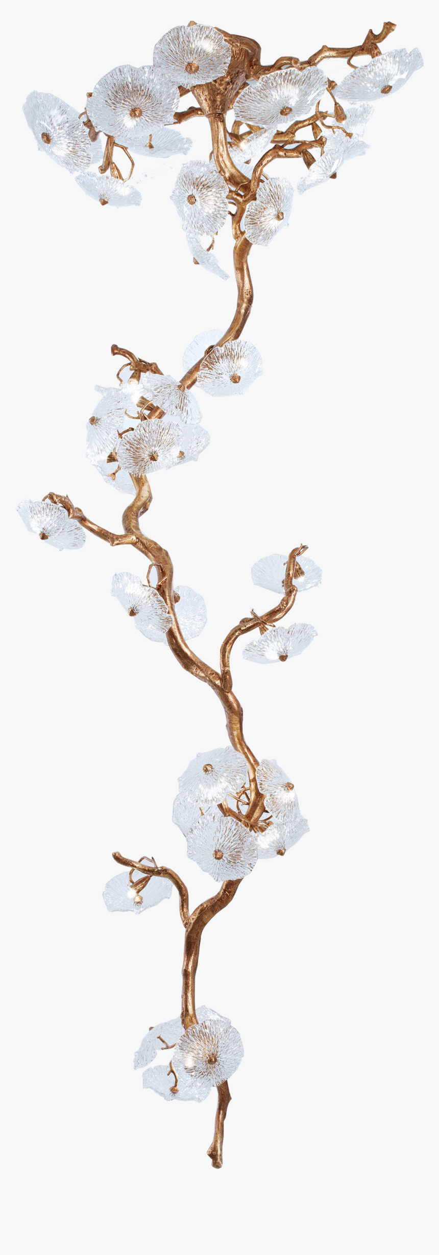 Chandelier, HD Png Download