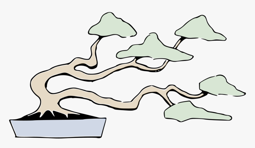 Bonsai Windgepeitschte Form - Arboles Bonsais, HD Png Download