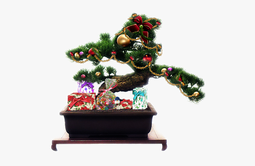 Bonsai Tree Christmas Decorations Png, Transparent Png