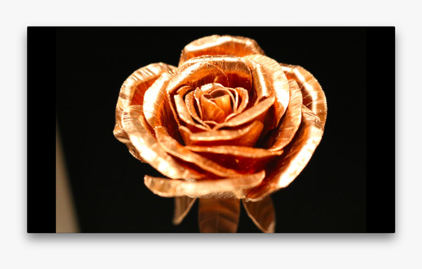 Floribunda, HD Png Download