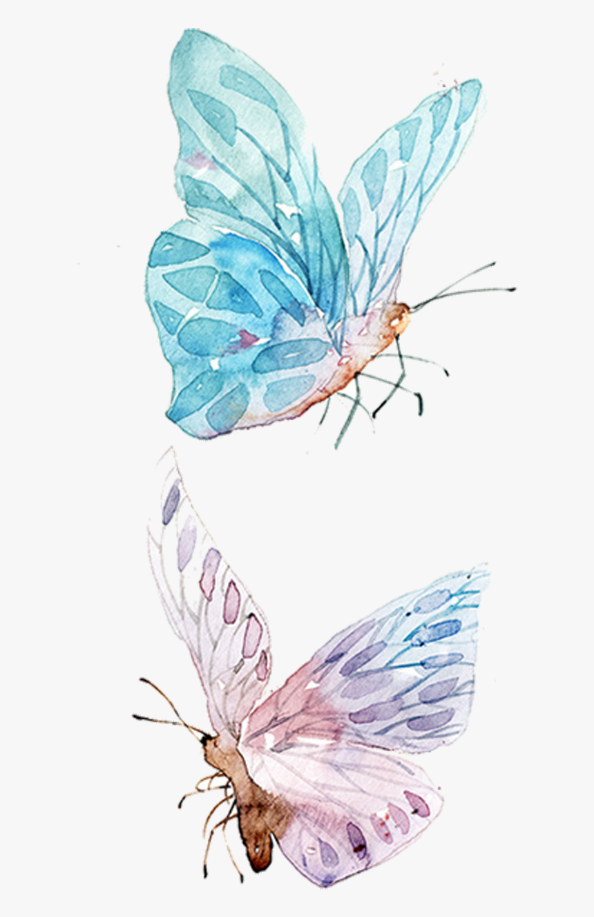 Water Color Butterfly Png, Transparent Png