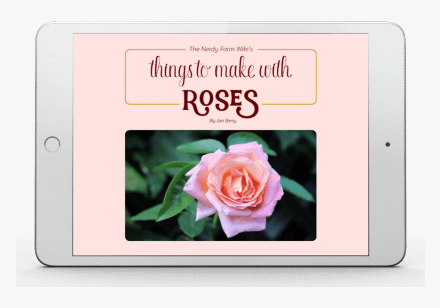 Things To Make With Roses Ebook By The Nerdy Farm Wife - Hybrid Tea Rose, HD Png Download