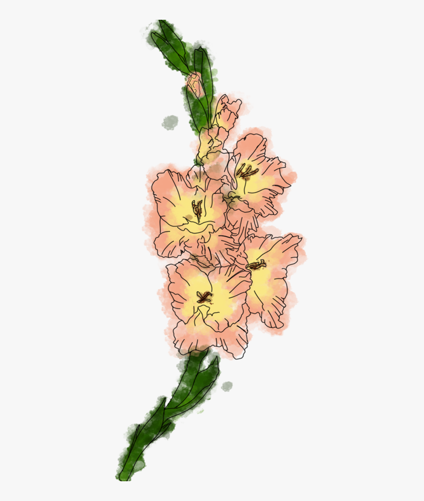 Fire Lily, HD Png Download